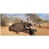 Image 6 : 7-DAY BULL GIRAFFE AND CAPE BUFFALO  HUNT FOR 1 HUNTER IN SOUTH AFRICA