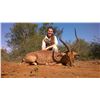 Image 2 : 5 - DAY SOUTH AFRICAN HUNT/FISHING & BIRD SHOOTING FOR 2 HUNTERS (Included is $1,000 towards trophy 