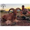 Image 2 : 3 1/2-DAY AOUDAD HUNT FOR 1 HUNTER IN WEST TEXAS