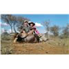 Image 2 : 5 - DAY HUNT FOR NYALA, BLUE WILDEBEEST, ZEBRA, BLESBOCK, WARTHOG & IMPALA FOR 3 HUNTERS