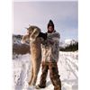 Image 2 : 7 - DAY WINTER PREDATOR HUNT IN ALASKA FOR 1 HUNTER