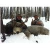 Image 3 : 4 - DAY MULE DEER HUNT FOR 2 HUNTERS