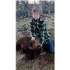 Image 1 : FIRST TIME HOG HUNT FOR 1 YOUTH HUNTER & 2 NON-HUNTERS