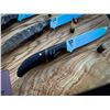 Image 4 : WSSBC GRANBY BIGHORN CAPER KNIFE SET - EXCLUSIVE # 1 OF 7