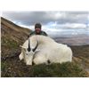 9 - DAY ALASKAN HUNT FOR 2 MOUNTAIN GOATS AND 1 SITKA BLACKTAIL DEER FOR 1 HUNTER