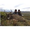 Image 2 : 9 - DAY ALASKAN HUNT FOR 2 MOUNTAIN GOATS AND 1 SITKA BLACKTAIL DEER FOR 1 HUNTER