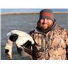 Image 3 : 5 - DAY/5-NIGHT KODIAK SITKA BLACK-TAILED DEER AND SEA DUCK COMBO HUNT FOR 1 HUNTER