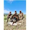 Image 2 : 2 - DAY RIO GRANDE TURKEY HUNT FOR 1 HUNTER AND 1 NON-HUNTER