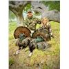 Image 3 : 2 - DAY RIO GRANDE TURKEY HUNT FOR 1 HUNTER AND 1 NON-HUNTER