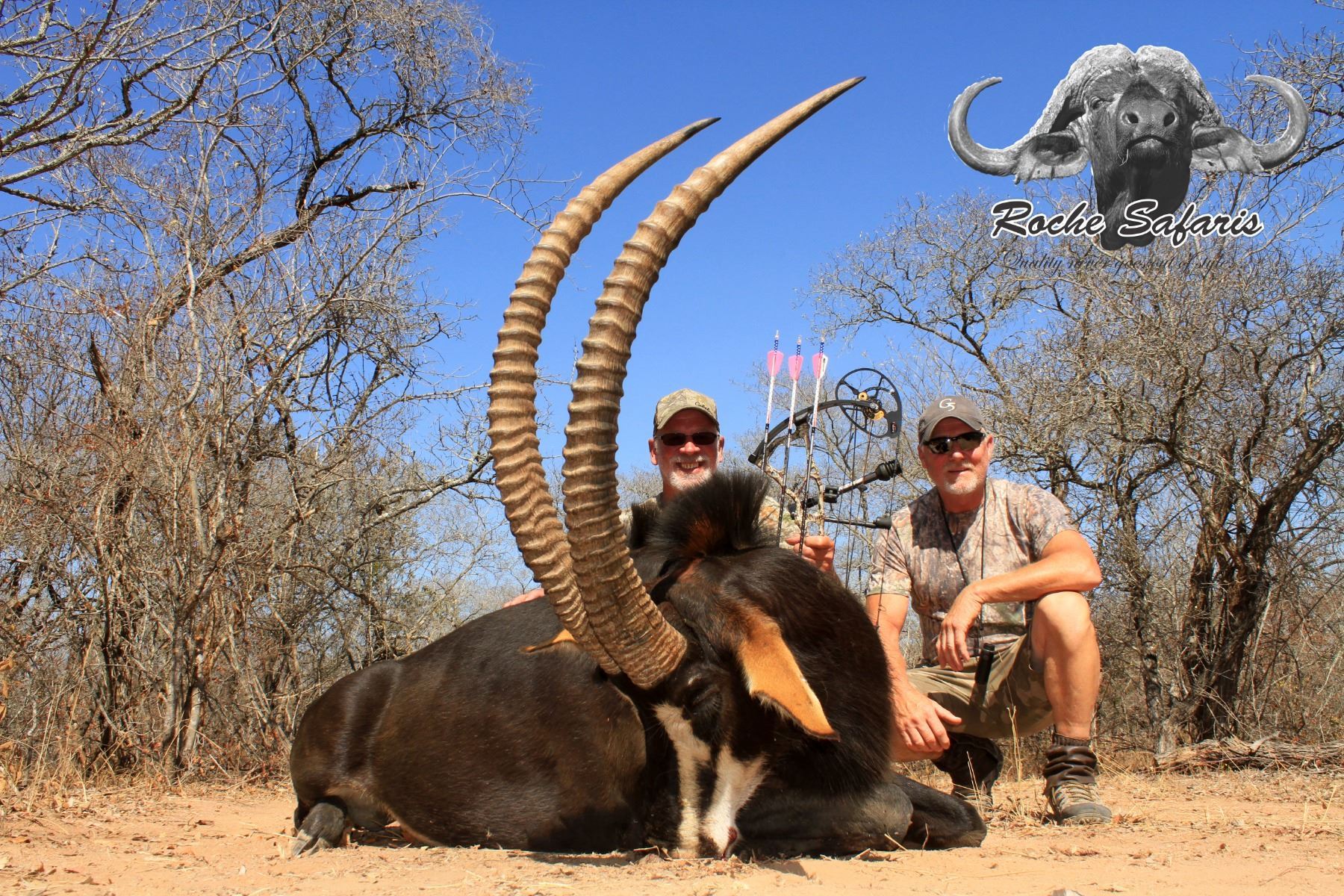 Sable Hunter 7 - DAY ROOSEVELT SABLE HUNT FOR 1 HUNTER AND 1 NON-HUNTER IN ...