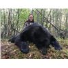 Image 4 : 5 - DAY BLACK BEAR HUNT FOR 2 PEOPLE OVER BAIT (Specializing in family members - mother/daughter - p