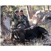 Image 2 : WYOMING GOVERNOR’S SHIRAS MOOSE LICENSE