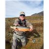 Image 2 : 6 - DAY ALPINE CHAMOIS, ROE DEER, BOAR AND 6-DAYS FISHING FOR 1 HUNTER & 1 NON-HUNTER IN SLOVENIA