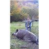 Image 3 : 6 - DAY ALPINE CHAMOIS, ROE DEER, BOAR AND 6-DAYS FISHING FOR 1 HUNTER & 1 NON-HUNTER IN SLOVENIA