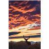 Image 3 : NEVADA UNIT 231 PRIVATE OWNERS DEER TAG - FOR 1 HUNTER
