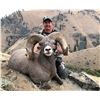 STATE OF WASHINGTON CALIFORNIA BIGHORN SHEEP