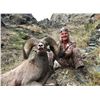 Image 2 : STATE OF WASHINGTON CALIFORNIA BIGHORN SHEEP
