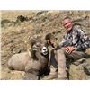 Image 3 : STATE OF WASHINGTON CALIFORNIA BIGHORN SHEEP