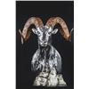 “MOUNTAIN MONARCH” METAL DALL SHEEP BUST