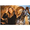 Image 8 : “MOUNTAIN MONARCH” METAL DALL SHEEP BUST