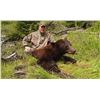 Image 2 : 5 - DAY COLUMBIA BLACKTAIL DEER AND BLACK BEAR COMBO HUNT IN OREGON FOR 1 HUNTER