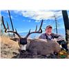 Image 3 : 5 - DAY COLUMBIA BLACKTAIL DEER AND BLACK BEAR COMBO HUNT IN OREGON FOR 1 HUNTER