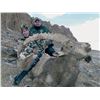 Image 3 : 7 - DAY PAMIR IBEX HUNT IN TAJIKISTAN FOR 1 HUNTER (Trophy fee included for Pamir Ibex)