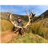 5 - DAY NEW ZEALAND HUNT FOR 2 HUNTERS FOR 2X RED STAG, TAHR & CHAMOIS (Trophy fees for 2 red stag u