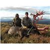 Image 2 : 12 - DAY MOUNTAIN CARIBOU HUNT FOR 1 HUNTER