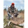 3 - DAY WHITETAIL DEER HUNT FOR 1 HUNTER AND 1 NON-HUNTER - HUNT WITH WWO MATT AMOS