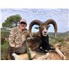 Image 3 : 4 - DAY FREE RANGE CUSTOMIZED HUNT - IBERIAN MOUFLON OR AOUDAD SHEEP FOR 1 HUNTER & 1 NON-HUNTER (Tr