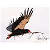 Image 1 : 5 - DAY/5 NIGHT EXCLUSIVE “BIG 5” PHOTO SAFARI FOR 2 PEOPLE WITH LUXURY LODGING