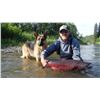 Image 2 : 6 - NIGHT/5 - DAY HALIBUT & SALMON FISHING TRIP FOR 2 ANGLERS IN KENAI, ALASKA