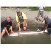 Image 2 : 7th ANNUAL WILD SHEEP JURASSIC CLASSIC STURGEON FISHING TOURNAMENT • 2 - DAY TRIP FOR 2 ANGLERS