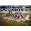 Image 3 : 7th ANNUAL WILD SHEEP JURASSIC CLASSIC STURGEON FISHING TOURNAMENT • 2 - DAY TRIP FOR 2 ANGLERS