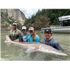 Image 4 : 7th ANNUAL WILD SHEEP JURASSIC CLASSIC STURGEON FISHING TOURNAMENT • 2 - DAY TRIP FOR 2 ANGLERS