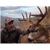Image 3 : 5 - DAY SITKA BLACKTAIL DEER HUNT FOR 2 HUNTERS ON KODIAK ISLAND - TWO DEER PER HUNTER