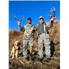 Image 5 : 5 - DAY SITKA BLACKTAIL DEER HUNT FOR 2 HUNTERS ON KODIAK ISLAND - TWO DEER PER HUNTER