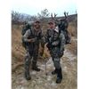 Image 8 : 5 - DAY SITKA BLACKTAIL DEER HUNT FOR 2 HUNTERS ON KODIAK ISLAND - TWO DEER PER HUNTER