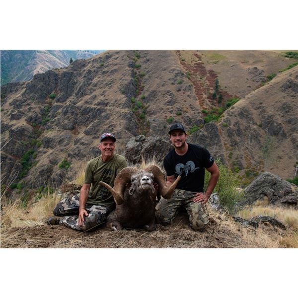 2023 OREGON BIGHORN SHEEP TAG