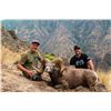 Image 2 : 2023 OREGON BIGHORN SHEEP TAG