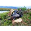 Image 5 : 12 - DAY ALASKAN PENINSULA TROPHY MOOSE HUNT FOR 1 HUNTER
