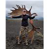 Image 7 : 12 - DAY ALASKAN PENINSULA TROPHY MOOSE HUNT FOR 1 HUNTER