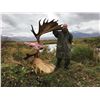 Image 8 : 12 - DAY ALASKAN PENINSULA TROPHY MOOSE HUNT FOR 1 HUNTER