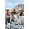 Image 3 : 12 - DAY DALL’S SHEEP/WOLF/WOLVERINE HUNT IN THE NORTHWEST TERRITORIES FOR 1 HUNTER & 1 NON-HUNTER