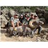 Image 2 : TAOS PUEBLO ROCKY MOUNTAIN BIGHORN SHEEP PERMIT