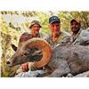 Image 2 : 8 - DAY WEEMSI DESERT BIGHORN SHEEP HUNT FOR 1 HUNTER