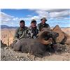 Image 4 : 8 - DAY WEEMSI DESERT BIGHORN SHEEP HUNT FOR 1 HUNTER