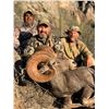 Image 5 : 8 - DAY WEEMSI DESERT BIGHORN SHEEP HUNT FOR 1 HUNTER