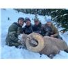 Image 3 : ALBERTA MINISTER’S SPECIAL LICENSE, ROCKY MOUNTAIN BIGHORN SHEEP